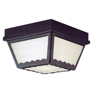 Wavy 9.5'' Wide 2-Light Outdoor Flush Mount - Black