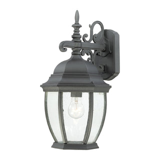 Covington 18'' High 1-Light Outdoor Sconce - Black