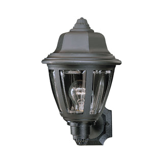 Capi 13.5'' High 1-Light Outdoor Wall Lantern - Black