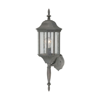 Hawthorne 26'' High 1-Light Outdoor Sconce - Painted Bronze