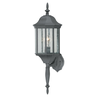 Hawthorne 26'' High 1-Light Outdoor Sconce - Black