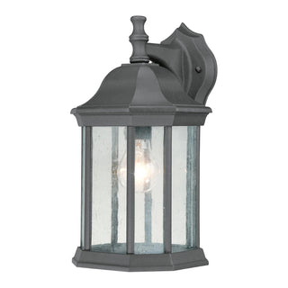 Hawthorne 14'' High 1-Light Outdoor Sconce - Black