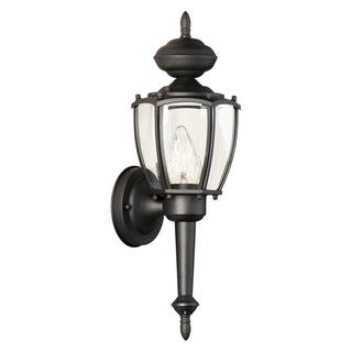 Park Avenue 17.5'' High 1-Light Outdoor Sconce - Black