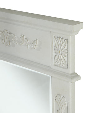 Danville 22 In. Traditional  Mirror In Antique White