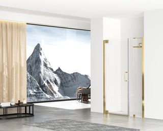 Semi-frameless hinged shower door 48 x 72 Brushed Gold