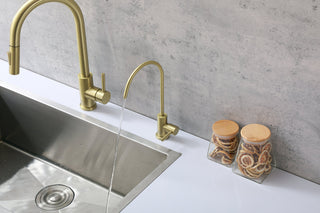 Rian Single Handle Cold Water Dispenser in Brushed Gold