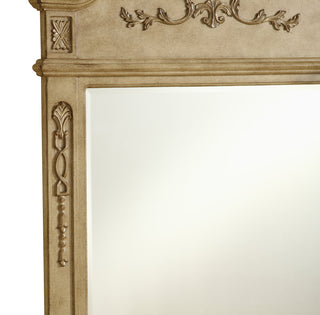 Danville 32 In. Traditional Mirror In Antique Beige