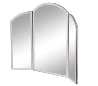 Dressing Mirror 32 in. x 24 in. in Clear Mirror