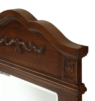 Danville 24 In. Traditional  Mirror In Brown