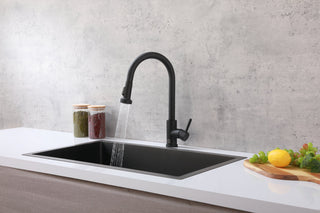 Sem Single Handle Pull Down Sprayer Kitchen Faucet in Matte Black