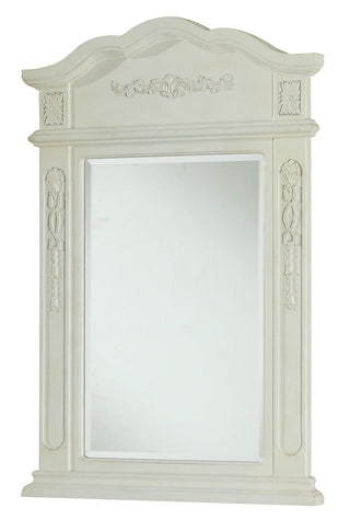 Danville 24 In. Traditional  Mirror In Antique White