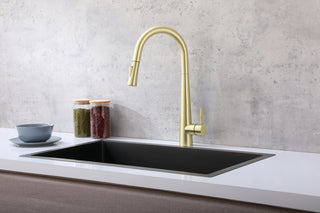 Lucas Single Handle Pull Down Sprayer Kitchen Faucet in Brushed Gold