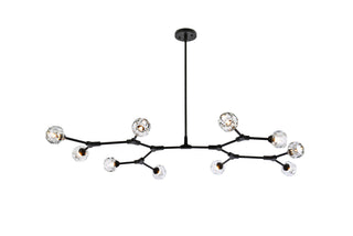 Zayne 10 Light Pendant in Black