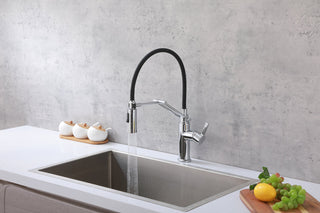 Leonardo Single Handle Pull Down Sprayer Kitchen Faucet in Chrome