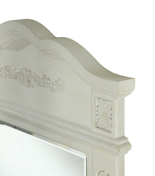 Danville 24 In. Traditional  Mirror In Antique White