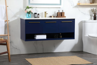 48 inch Single bathroom vanity in blue