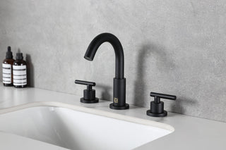 Leah 8 inch Widespread Double Handle Bathroom Faucet in Matte Black