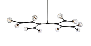 Zayne 10 Light Pendant in Black