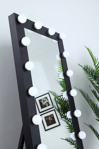 Brenda 24 inch by 71 inch plug in LED 5000K mirror in black