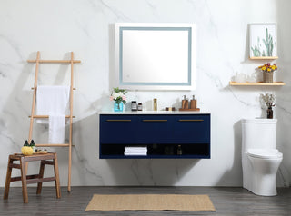 48 inch Single bathroom vanity in blue