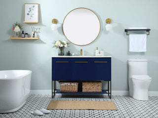 48 inch Single bathroom vanity in blue