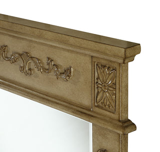 Danville 22 In. Traditional  Mirror In Antique Beige