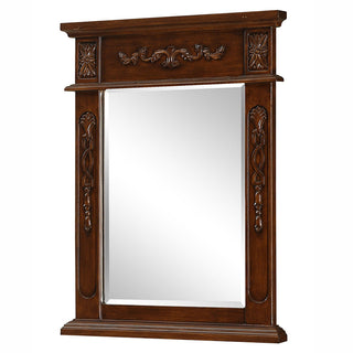 Danville 22 In. Traditional  Mirror In Brown