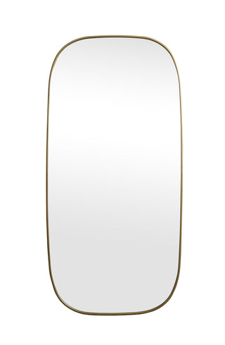 Metal Frame Oval Mirror 36x72 Inch in Brass