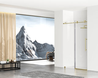 Frameless shower door 48 x 76 Brushed Gold