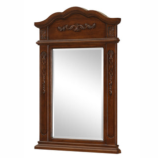 Danville 24 In. Traditional  Mirror In Brown