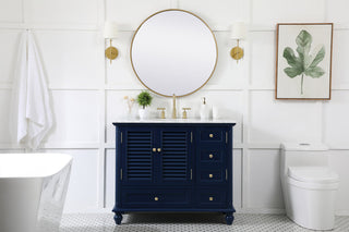 42 inch Single bathroom vanity in blue