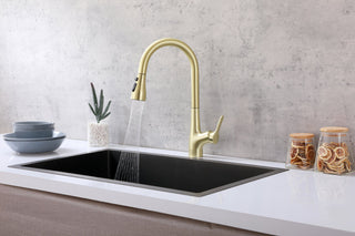 Andrea Single Handle Pull Down Sprayer Kitchen Faucet in Brushed Gold