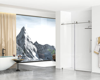 Frameless shower door 60 x 76 Polished Chrome