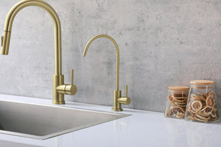 Rian Single Handle Cold Water Dispenser in Brushed Gold