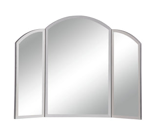 Dressing Mirror 32 in. x 24 in. in Clear Mirror