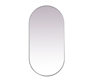 Metal Frame Oval Mirror 36x72 Inch in Silver