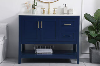 42 inch Single Bathroom Vanity in Blue