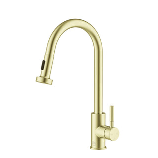 Sem Single Handle Pull Down Sprayer Kitchen Faucet in Brushed Gold