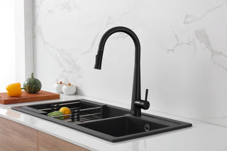 Lucas Single Handle Pull Down Sprayer Kitchen Faucet in Matte Black