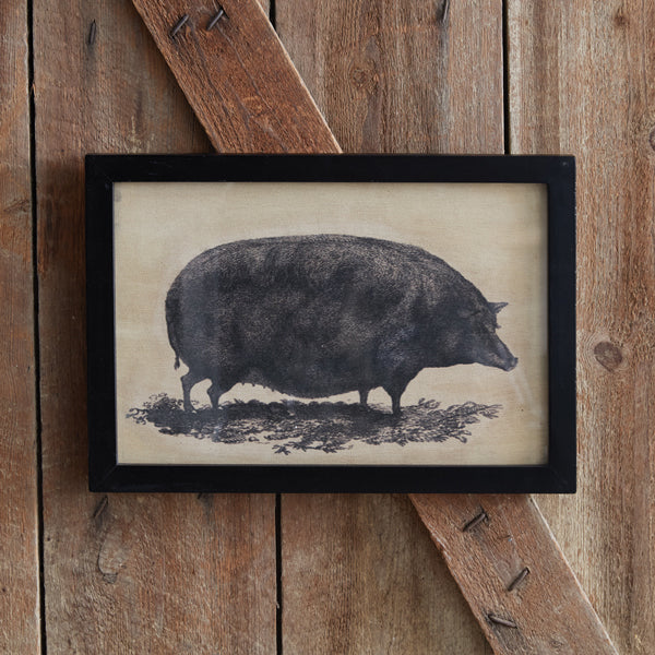 Homestead Framed Canvas - Pig