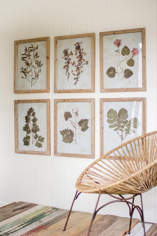 SET OF SIX LEAF PRINTS UNDER GLASS