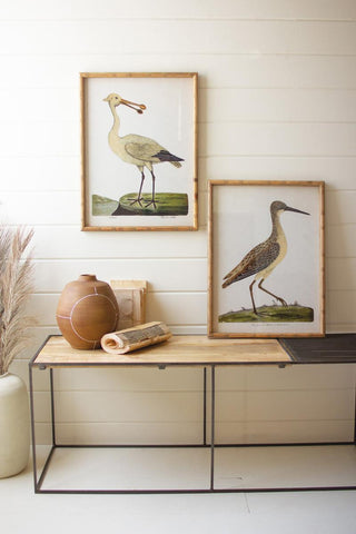 SET OF TWO FRAMED SHOREBIRDS UNDER GLASS