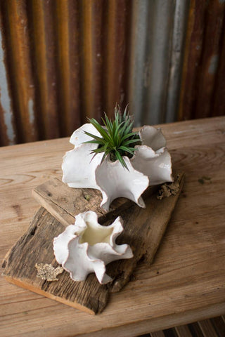 SET OF TWO ORGANIC CERAMIC PLANTERS