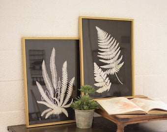 Set of 2 Black and White Fern Prints Under Glass