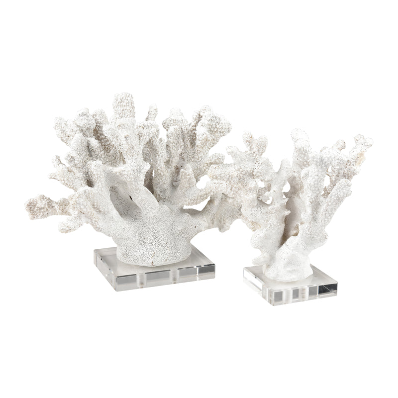 Coral Sculptures - Set of 2